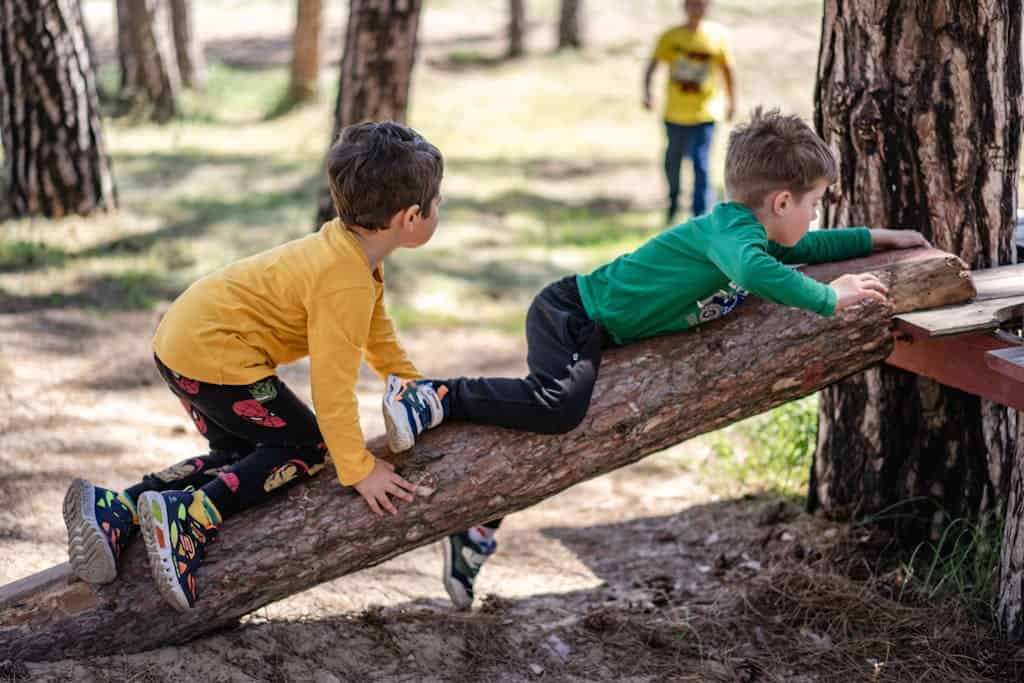 Kids enjoying outdoor play on a tree log, embodying fun and adventure.